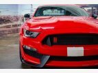 Thumbnail Photo 10 for 2016 Ford Mustang Shelby GT350 Coupe